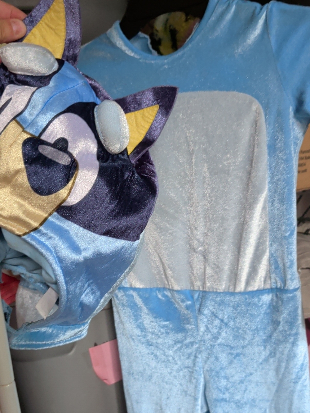 Bluey Costume Child Size 3T-4T